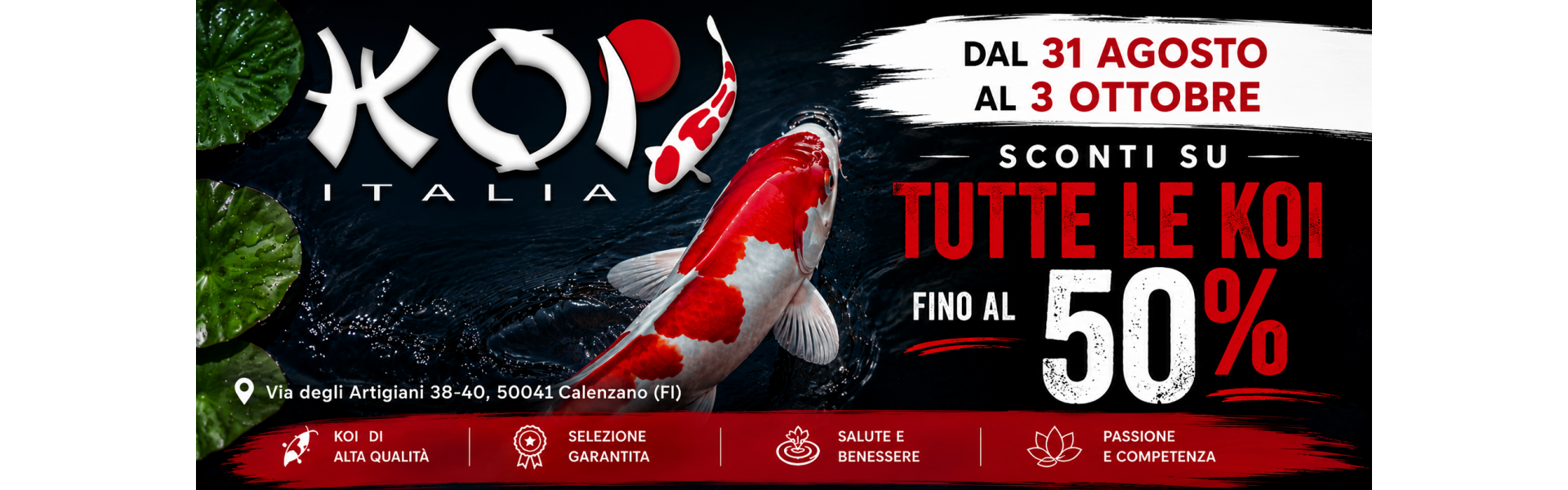 Sconti Koi 